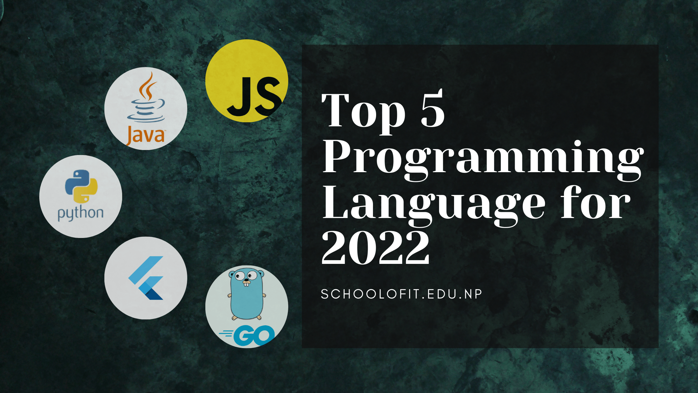 Top 5 Programming Languages To Learn For Better Career in Nepal (2022)